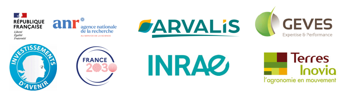 Projet soutenu par les fonds français d'investissement d'avenir et France 2030 via l'ANR, et les partenaires Arvalis, GEVES, INRAE et Terres Inovia.