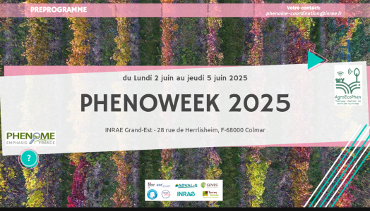 Capture d'écran 2025-02-25 115410.png