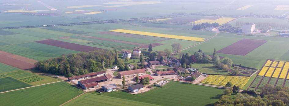 Vue aérienne de la plate-forme