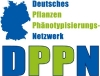 logo dppn