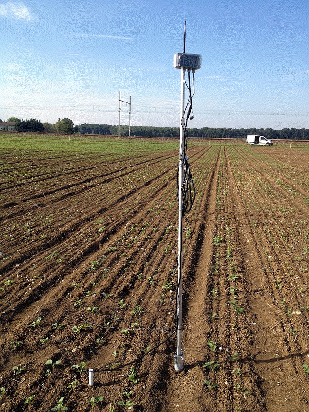 Dijon sensors